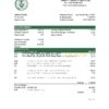 Iraq Rafidain Bank statement template in .xls and .pdf file format