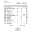 Ireland Fire Financial Services Limited account statement template in Excel and PDF format