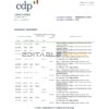 Italy Cassa Depositi e Prestiti bank statement easy to fill template in .xls and .pdf file format