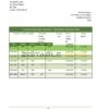 Italy Citibank bank statement easy to fill template in .xls and .pdf file format