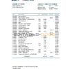 Italy UBI BANCA bank statement easy to fill template in Excel and PDF format
