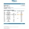 Jamaica Mortgage Bank statement easy to fill template in Excel and PDF format