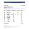 Japan Mizuho bank statement template in .xls and .pdf file format