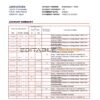 Japan Rakuten bank statement template in Excel and PDF format