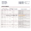 Japan Rakuten bank statement template in Word and PDF format