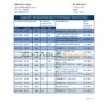 Kenya Citibank bank statement easy to fill template in .xls and .pdf file format