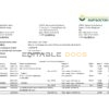 Kyrgyzstan Kirgizbank bank statement easy to fill template in Excel and PDF format