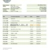 Liberia Central Bank of Liberia bank statement template in Word and PDF format