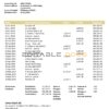 Liechtenstein Union Bank AG statement template in Word and PDF format