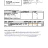 Malaysia AmBank Islamic bank statement template in Excel and PDF format (2 pages)