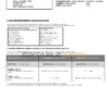 Malaysia AmBank Islamic bank statement template in Word and PDF format (2 pages)
