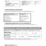 Malaysia AmBank Islamic bank statement template in Excel and PDF format (2 pages)
