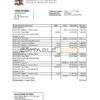Malta Central Bank of Malta bank statement easy to fill template in Excel and PDF format