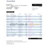 Mexico Deutsche bank statement easy to fill template in Excel and PDF format