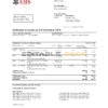 Monaco UBS bank proof of address statement template in Word and PDF format (.doc and .pdf)
