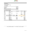 Mongolia Arig Bank statement easy to fill template in .xls and .pdf file format