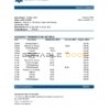 Mongolia Development Bank of Mongolia bank statement easy to fill template in .xls and .pdf file format