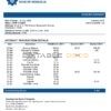 Mongolia Development Bank of Mongolia bank statement template in Word and PDF format