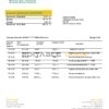 Nepal Kumari Bank proof of address statement template in Word and PDF format