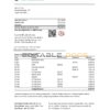 Netherlands (Holland) Crawford Technologies Bank statement easy to fill template in Excel and PDF format