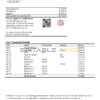 Netherlands (Holland) Crawford Technologies bank statement template in Word and PDF format
