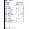 Netherlands NIBC Bank statement easy to fill template in .xls and .pdf file format