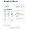 Netherlands Triodos Bank statement easy to fill template in Excel and PDF format