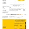 New Zealand Ami Insurance Limited bank statement template in Excel and PDF format