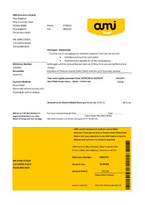 New Zealand Ami Insurance Limited bank statement template in Excel and PDF format