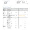 New Zealand BNZ Greymouth bank statement template in Word and PDF format