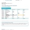 Nicaragua Banco Ficohsa bank proof of address statement template in Word and PDF format, .doc and .pdf format