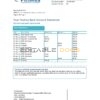 Nicaragua Banco Ficohsa bank statement easy to fill template in Excel and PDF format
