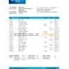Nigeria Keystone Bank statement easy to fill template in .xls and .pdf file format