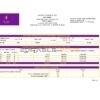 Nigeria Polaris Bank statement easy to fill template in Excel and PDF format