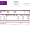 Nigeria Polaris Bank statement template in Word and PDF format