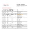 Norway Bank Norwegian AS bank statement easy to fill template in Word and PDF format