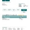 Norway DNB bank proof of address statement template in Word and PDF format