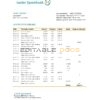 Norway Luster Sparebank bank statement easy to fill template in Excel and PDF format