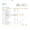 Norway Luster Sparebank bank statement easy to fill template in Word and PDF format