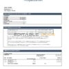 Norway Pareto Bank statement easy to fill template in Word and PDF format