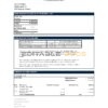 Norway Pareto bank statement easy to fill template in Excel and PDF format