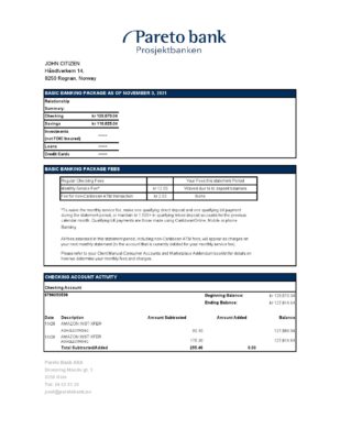 Norway Pareto bank statement easy to fill template in Excel and PDF format