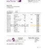Oman Bank Nizwa bank statement easy to fill template in Excel and PDF format