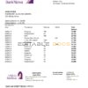 Oman Bank Nizwa proof of address bank statement template in Word and PDF format