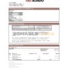 Panama Banco Aliado bank statement easy to fill template in Excel and PDF format