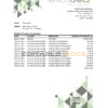 Paraguay Banco Continental S.A.E.C.A. bank statement easy to fill template in .xls and .pdf file format
