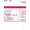 Paraguay Vision Banco bank statement easy to fill template in Excel and PDF format