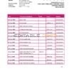 Paraguay Vision Banco bank statement template in Word and PDF format
