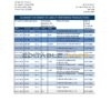 Peru Citibank bank statement easy to fill template in .xls and .pdf file format