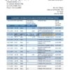 Peru Citibank bank statement easy to fill template in Word and PDF format